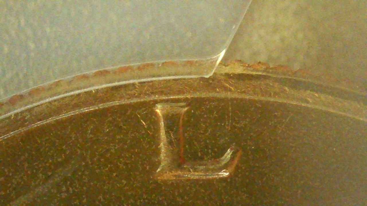 Sent-To-PCGS-But-Not-The-1972-50c-DDO?